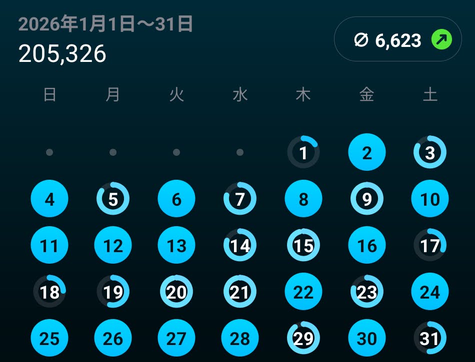 1月の歩数カレンダー（平均6,623歩/日）